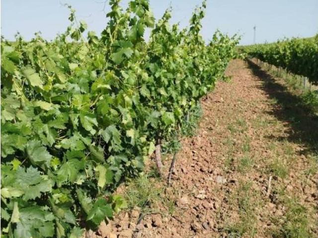 Terreno en Venta en Badajoz