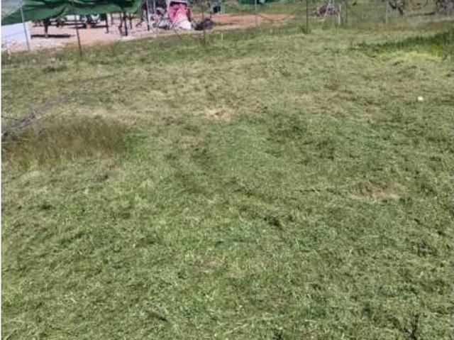 Terreno en Venta en Badajoz
