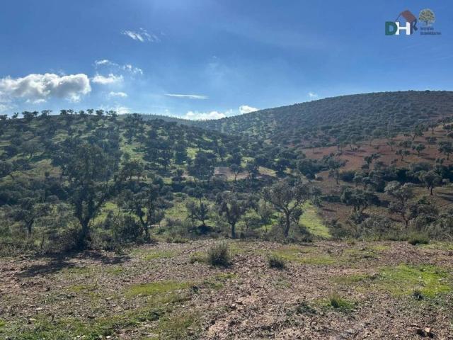 Terreno en Venta en Badajoz