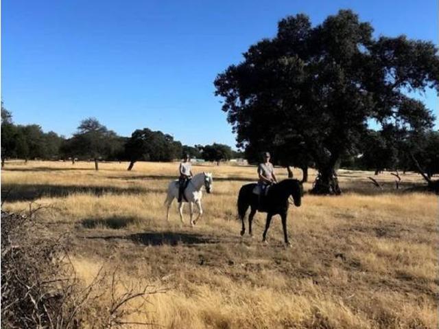 Terreno en Venta en Badajoz