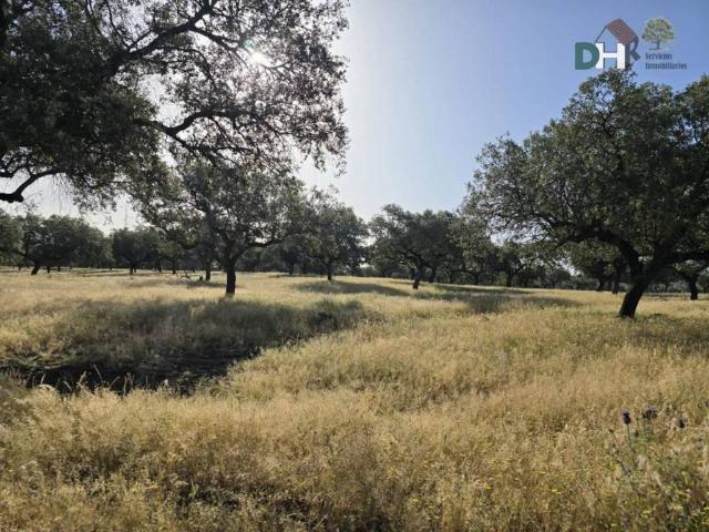 Terreno en Venta en Badajoz