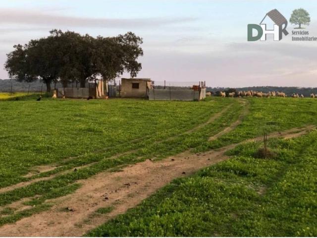Terreno en Venta en Badajoz