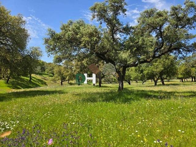 Terreno en Venta en Badajoz