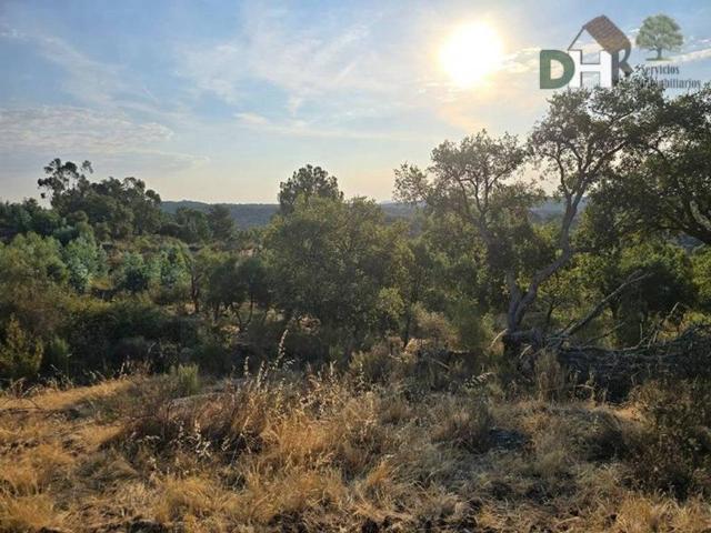 Terreno en Venta en Badajoz