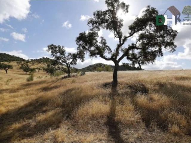 Terreno en Venta en Badajoz