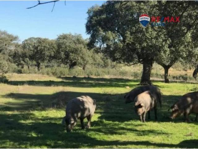 Terreno en Venta en Badajoz