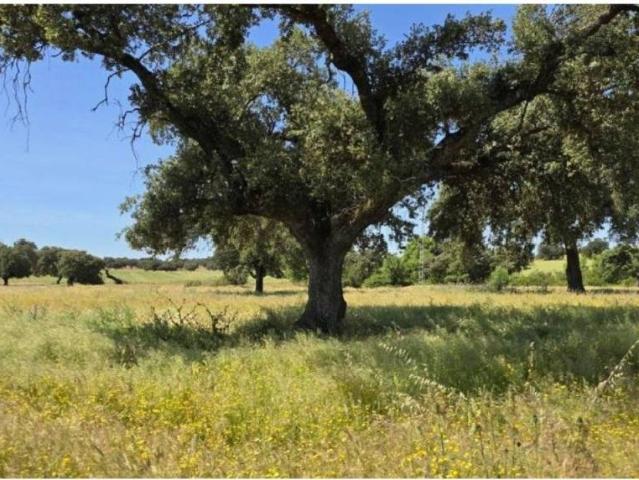 Terreno en Venta en Badajoz