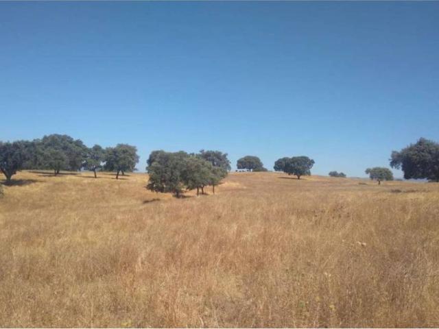 Terreno en Venta en Badajoz