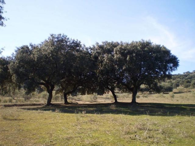 Terreno en Venta en Badajoz