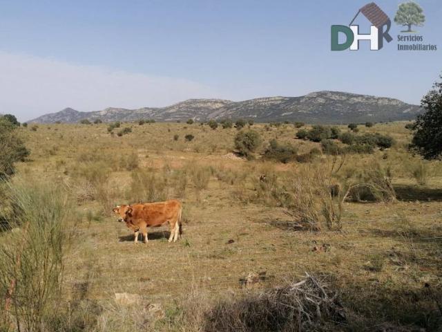 Terreno en Venta en Badajoz