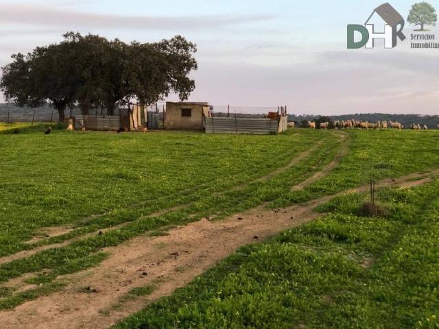 Terreno en Venta en Badajoz