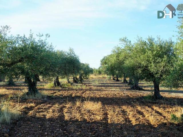 Terreno en Venta en Badajoz