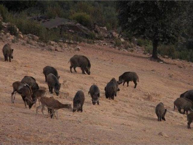 Terreno en Venta en Badajoz