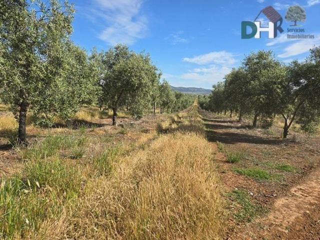 Terreno en Venta en Badajoz