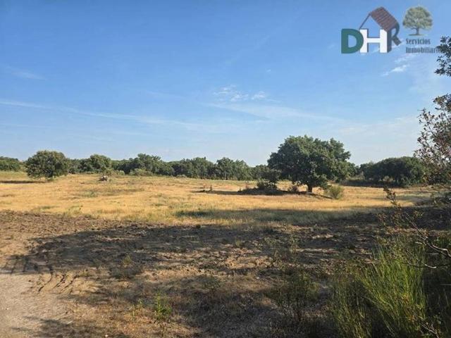 Terreno en Venta en Badajoz