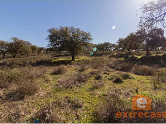 Terreno en Venta en Badajoz
