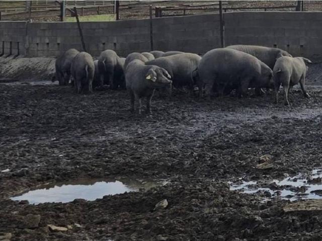 Terreno en Venta en Badajoz