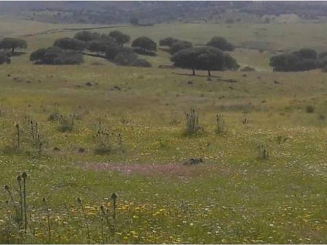 Terreno en Venta en Badajoz