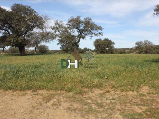 Terreno en Venta en Badajoz