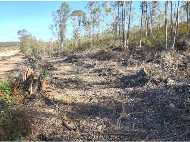 Terreno en Venta en Badajoz