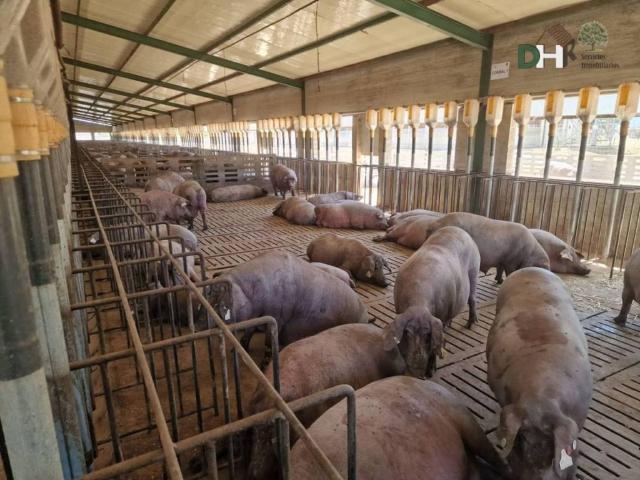 Terreno en Venta en Badajoz