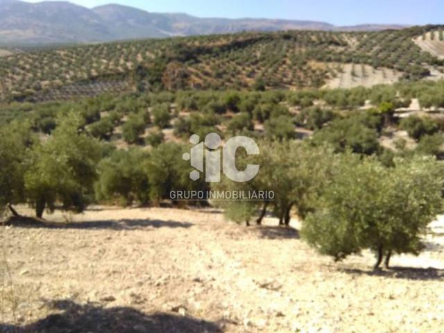 Terreno en Venta en Baena