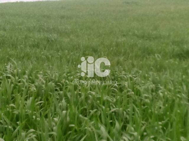 Terreno en Venta en Baena