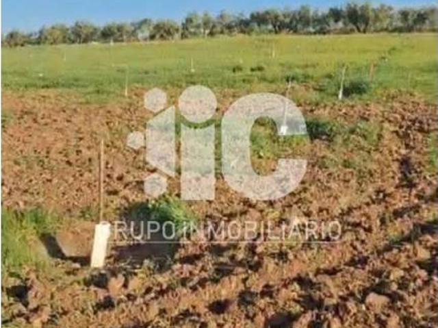 Terreno en Venta en Baena