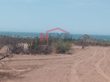 TERRENO EN VENTA EN BAHIA DE KINO