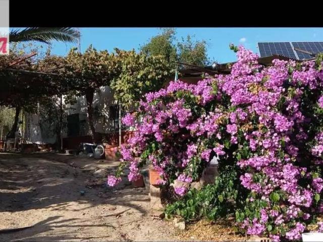 Terreno en Venta en Bailén