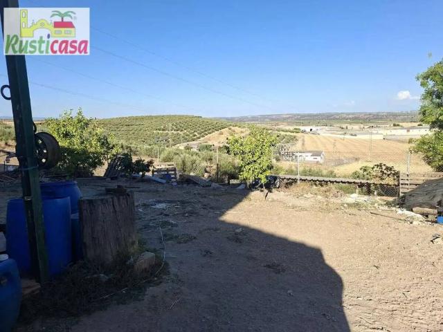Terreno en Venta en Bailén