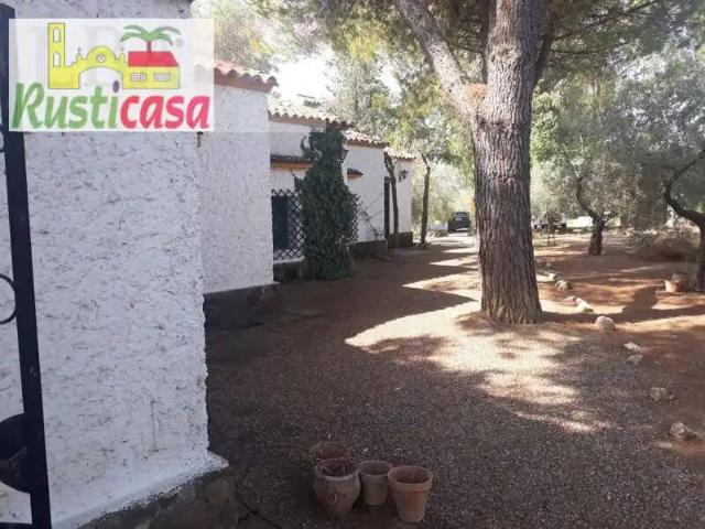 Terreno en Venta en Bailén