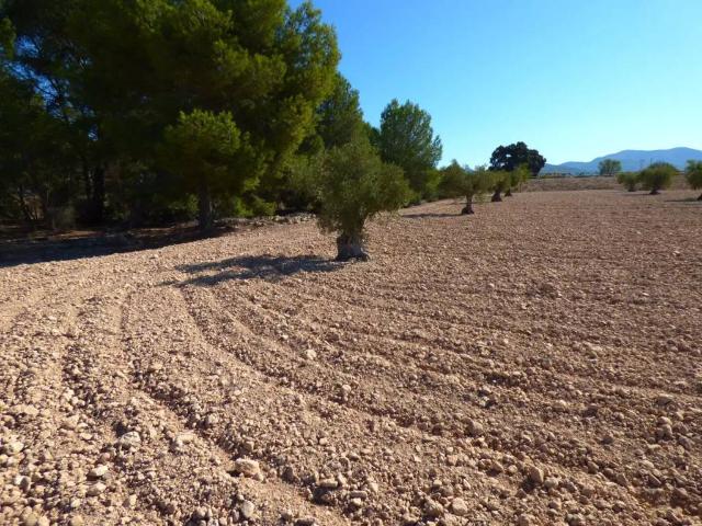 Terreno en Venta en Banyeres de Mariola