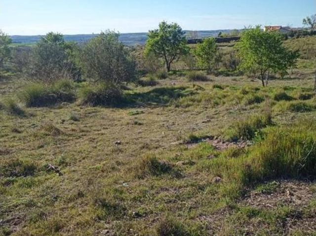 Terreno en Venta en Barajas de Melo