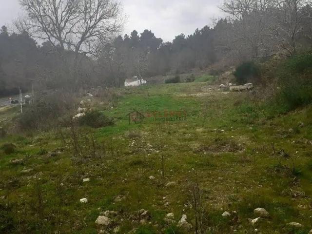 Terreno en Venta en Barbadás