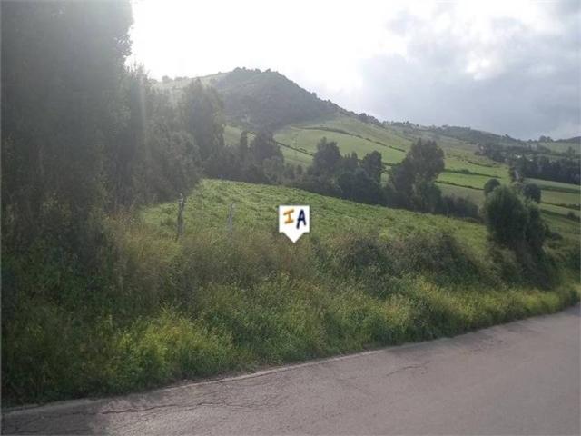 Terreno en Venta en Barbate