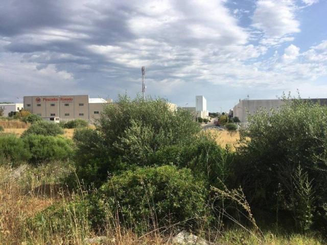 Terreno en Venta en Barbate