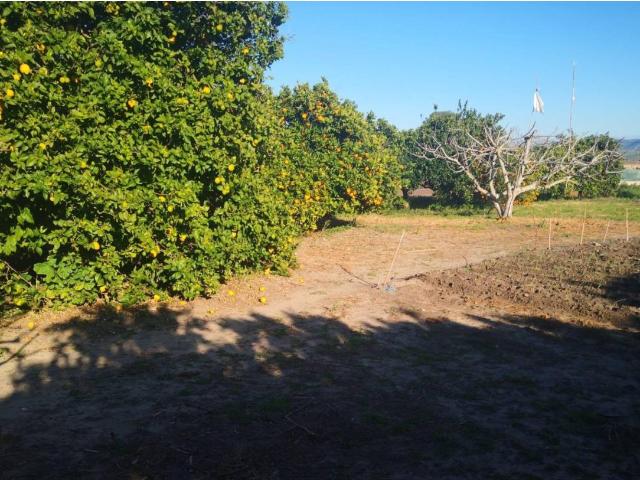 Terreno en venta en Barbate