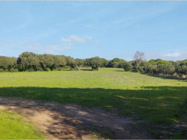 Terreno en Venta en Barbate