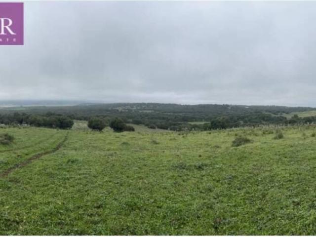 Terreno en Venta en Barbate