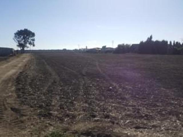 Terreno en venta en Barbate, EL PALMAR