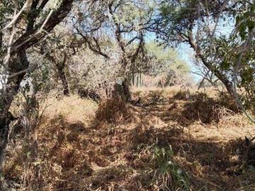 Terreno en Venta en Barrio La Magdalena Tequisquiapan