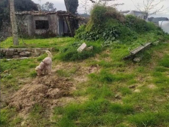 Terreno en Venta en Barro