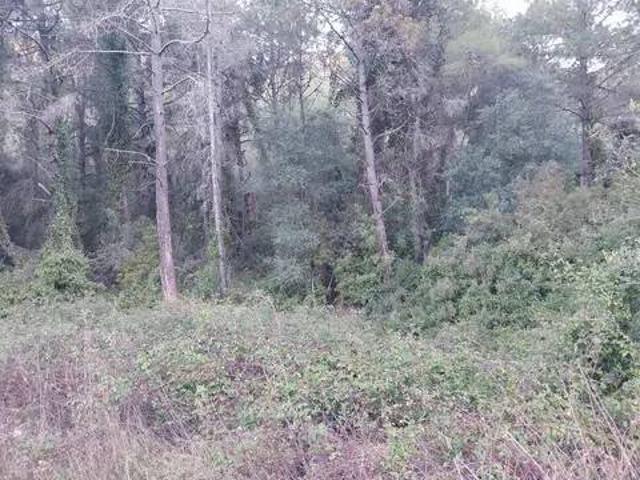 Terreno en Venta en Barx