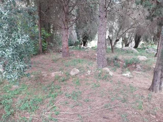Terreno en Venta en Barx
