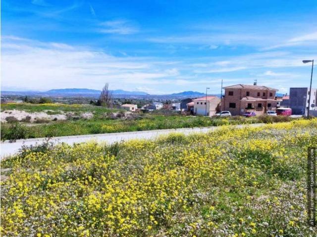 Terreno en Venta en Baza