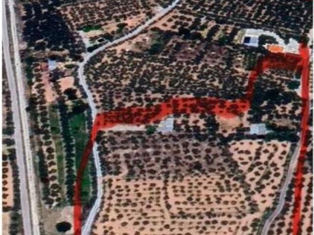 Terreno en Venta en Baza