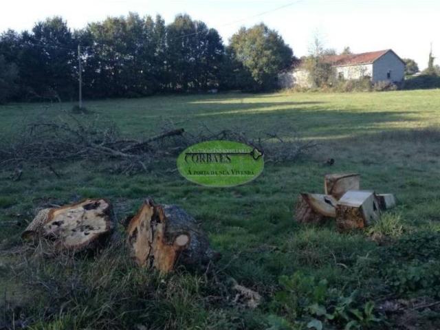 Terreno en Venta en Baños de Molgas