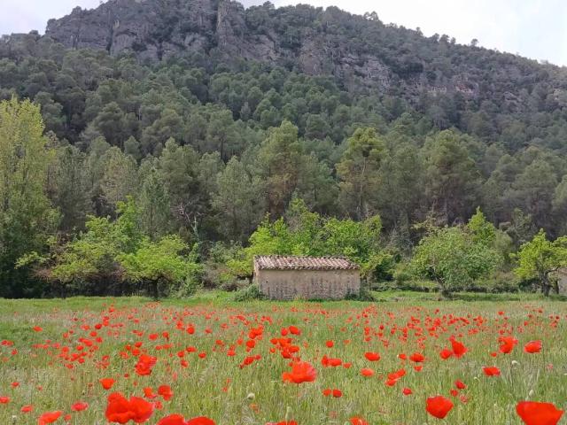 Terreno en Venta en Beceite