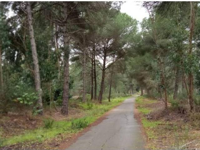 Terreno en Venta en Beas